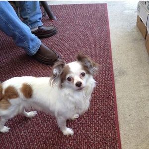 Meet your Posher, Bill